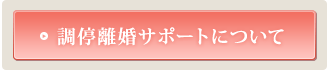 調停離婚サポートについて