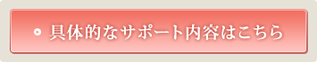 具体的なサポート内容はこちら