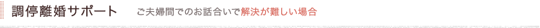 調停離婚サポート ご夫婦間でのお話合いで解決が難しい場合