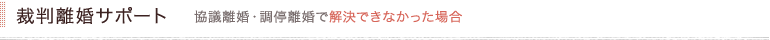 裁判離婚サポート 協議離婚・調停離婚で解決できなかった場合